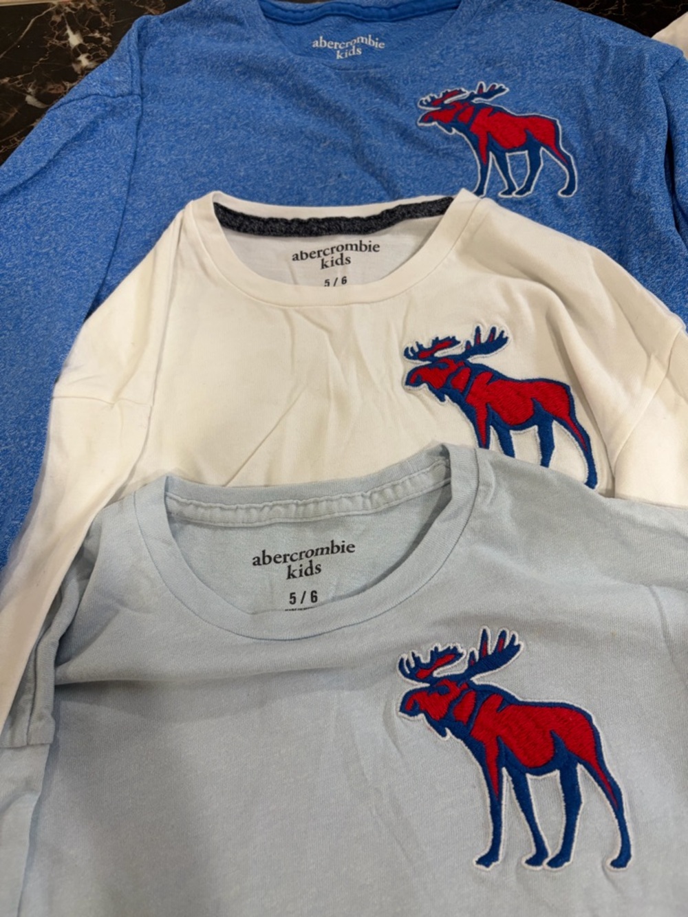 Abercrombie Kids Long-Sleeve Moose Logo Shirt - Light Blue - Picture 2 of 4